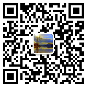 電線(xiàn)桿鉆孔打樁機